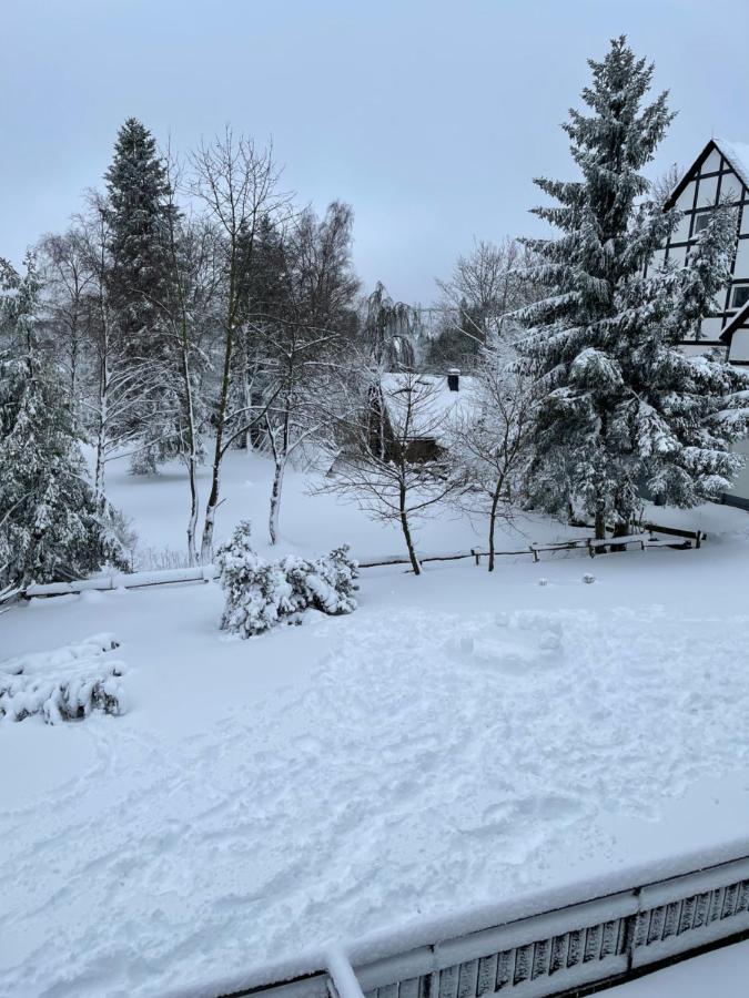 Aventur Studio 212 Am Rotharrsteig Medebach Exterior photo